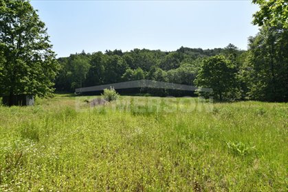 Działka komercyjno-usługowa 15 000 m² z dostępem do lasu - polecam! działka Siepraw