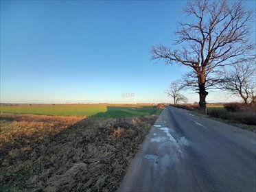 działka na sprzedaż 10900m2 działka Brzeg Dolny, Średzka
