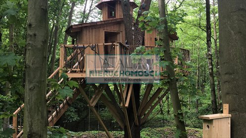 Działka siedliskowa 23 000 m² z lasem i budynkiem działka Wola Polska