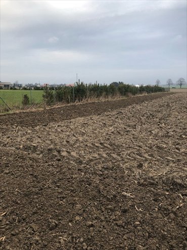 działka na sprzedaż 3000m2 działka Żelazków