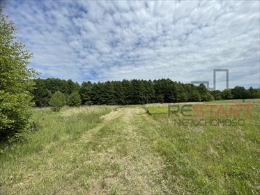 Zapraszam do zakupu urokliwej działki leśnej z polaną 2,58 ha działka Żuków