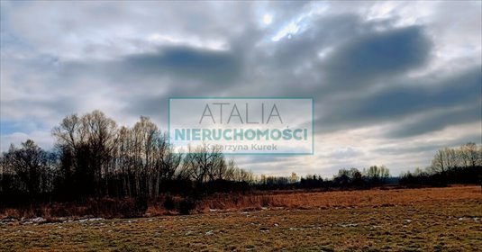 Na sprzedaż działka 2209 m² w Grodzisku z możliwością podziału działka Grodzisk Mazowiecki