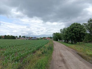 działka na sprzedaż 1000m2 działka Podrzewie