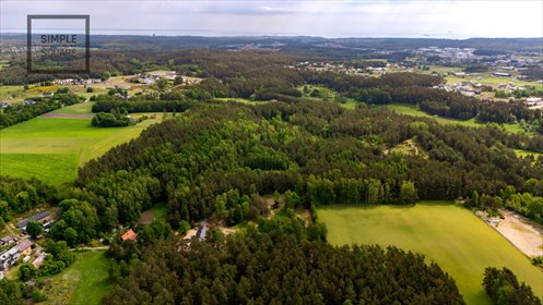 działka na sprzedaż 3000m2 działka Dobrzewino, Chłopska