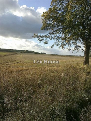 działka na sprzedaż 27500m2 działka Wąwelnica