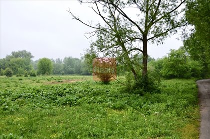 działka na sprzedaż 20000m2 działka Skierdy