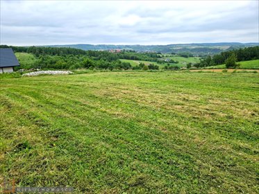 działka na sprzedaż 2512m2 działka Kozierów