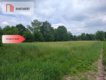 Działka 5000 m2 w Dolinie Baryczy – inwestycja i relaks działka Stara Huta
