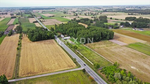 Zapraszam do zakupu działki inwestycyjnej 9 266 m² przy DK91 w Ogrodzonej działka Ogrodzona
