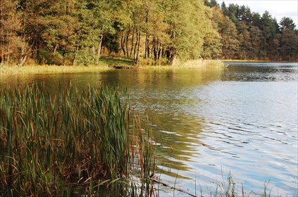 działka na sprzedaż 3000m2 działka Stare Juchy, Stare Juchy