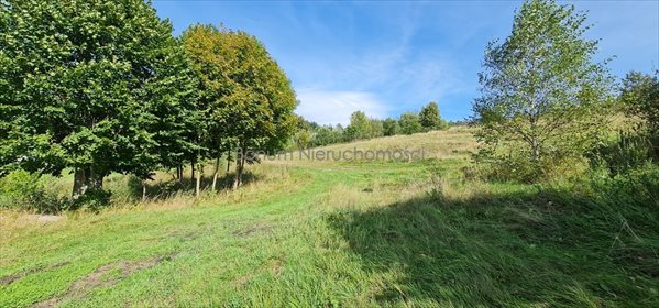Działka inna na sprzedaż Kudowa-Zdrój, Jakubowice 1 100m2 Foto 5