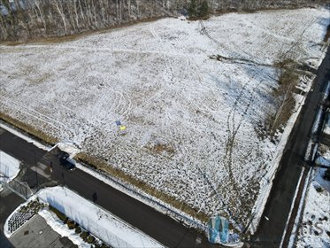 działka na sprzedaż 5000m2 działka Łubna