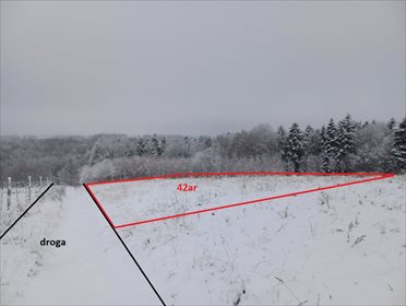 działka na sprzedaż 4200m2 działka Wesoła