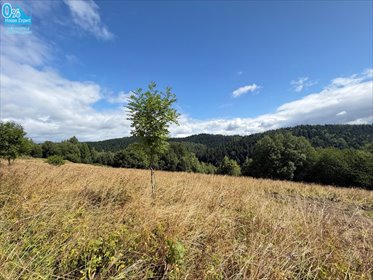 Na sprzedaż działka 1418 m² z pięknym widokiem w Słotwinach działka Krynica-Zdrój, Słotwiny