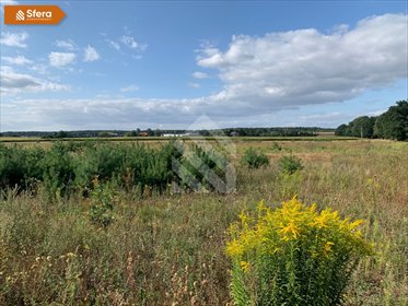 działka na sprzedaż 1123m2 działka Wilcze