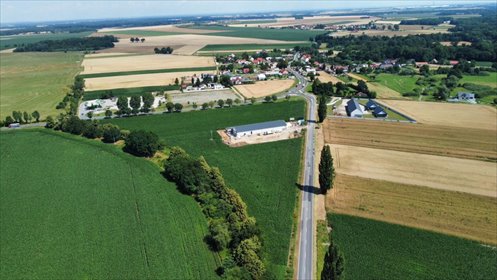 działka na sprzedaż 13000m2 działka Mirosławice