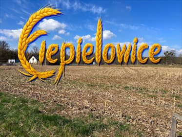 działka na sprzedaż 817m2 działka Ciepielowice, Magnoliowa