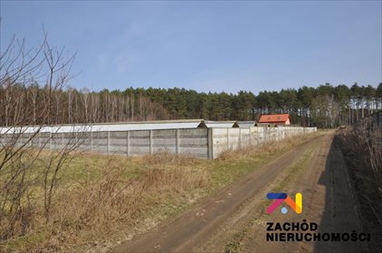 Lokal użytkowy na sprzedaż Zielona Góra, Racula 23 200m2 Foto 1