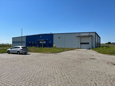 lokal użytkowy na sprzedaż 960m2 lokal użytkowy Włocławek