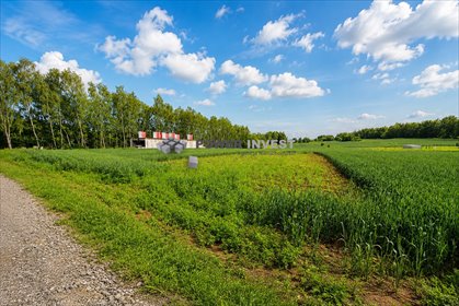 Działka 610 m² w Bodzanowie z możliwością zabudowy działka Bodzanów