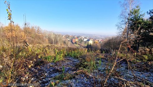 działka na sprzedaż 4800m2 działka Zabierzów