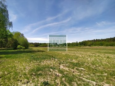 działka na sprzedaż 3311m2 działka Słone