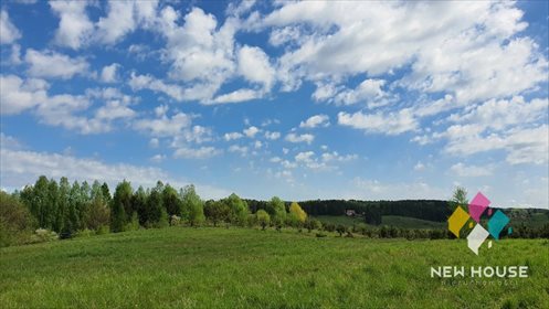 Działka rolna na sprzedaż Brąswałd 3 540m2 Foto 6