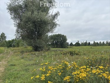 działka na sprzedaż 4731m2 działka Cząstków Polski