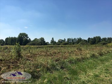 Działka rolna na sprzedaż Suchy Grunt 11 600m2 Foto 2