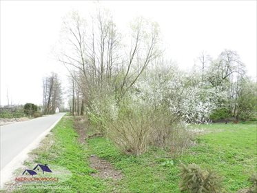Działka budowlana na sprzedaż Dąbrówki Breńskie 2 900m2 Foto 1