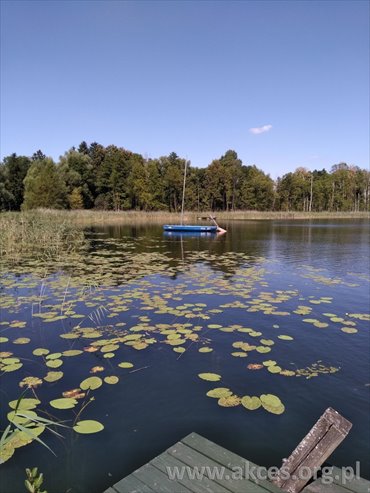 Działka inna na sprzedaż Grom 102 000m2 Foto 2