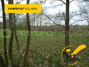 Działka rolna na sprzedaż Strubiny, Zakroczym 6 500m2 Foto 1