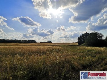 działka na sprzedaż 37300m2 działka Wąwelnica
