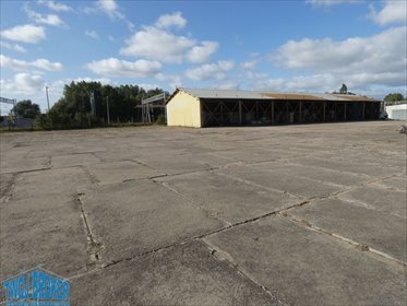 działka na wynajem 2000m2 działka Pszczółki