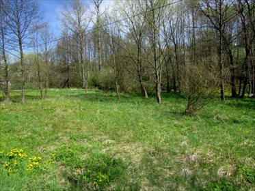Działka inwestycyjna na sprzedaż Szklary, Szklary, Szklary 1 800m2 Foto 4