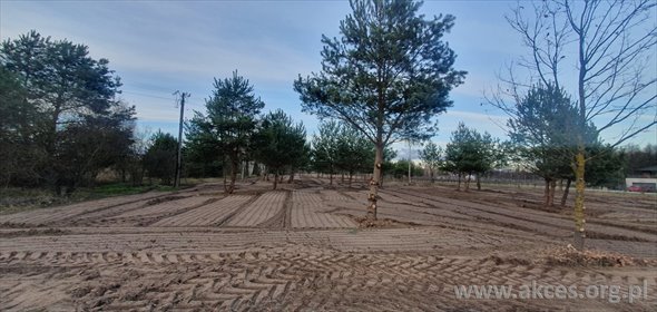 działka na sprzedaż 3013m2 działka Częstoniew