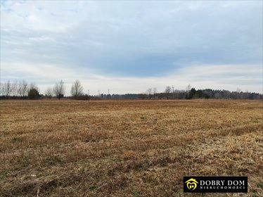 Sprzedam działkę 940 m² z widokiem i mediami w Niewodnicy działka Niewodnica Nargilewska