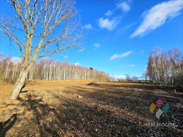 działka na sprzedaż 3878m2 działka Rozgity