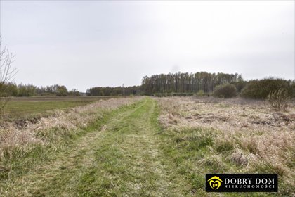 Malownicza działka 5500 m² w Koszkach – cisza i las działka Koszki