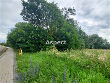 działka na sprzedaż 3000m2 działka Tetyń