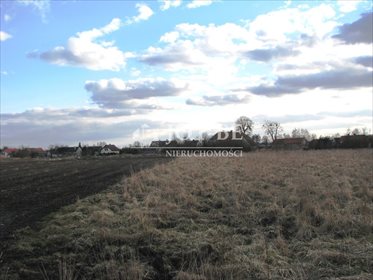 Działka budowlana na sprzedaż Jodłowice 11 404m2 Foto 2