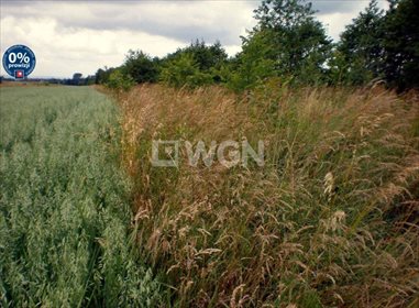 działka na sprzedaż 7500m2 działka Malawa, Malawa, Malawa