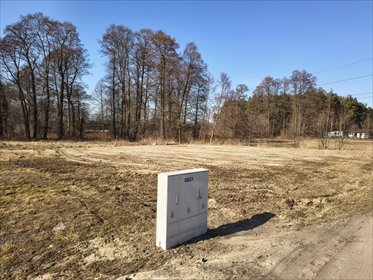 Sąsiedzi czekają na Ciebie w Słowiku działka Słowik, Letnia