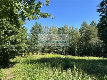 Działka 1500 m² z mediami w Adamów-Wieś, spokojna okolica działka Adamów-Wieś