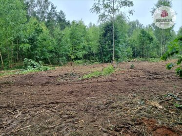 Działka 7365 m² z warunkami zabudowy (Gutkowo) działka Gutkowo, Gutkowo
