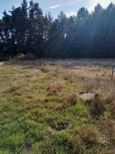działka na sprzedaż 1125m2 działka Niwy, Niwy, Niwki Daleszyckie