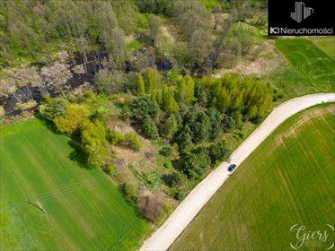 działka na sprzedaż 6000m2 działka Trzebucza