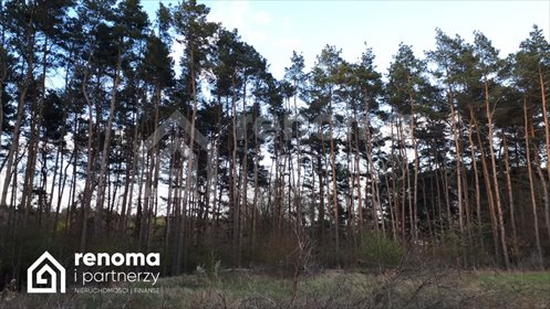 działka na sprzedaż 453m2 działka Mielno