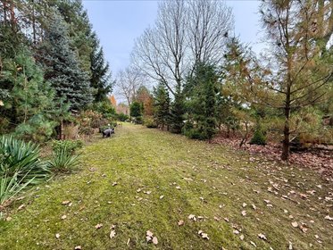 działka na sprzedaż 6228m2 działka Strzeszewo