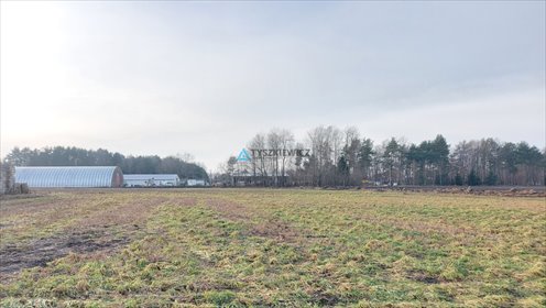działka na sprzedaż 3170m2 działka Bojano, Czynu Tysiąclecia